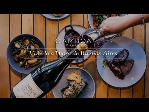 VIdeo Bodega Gamboa Argentina